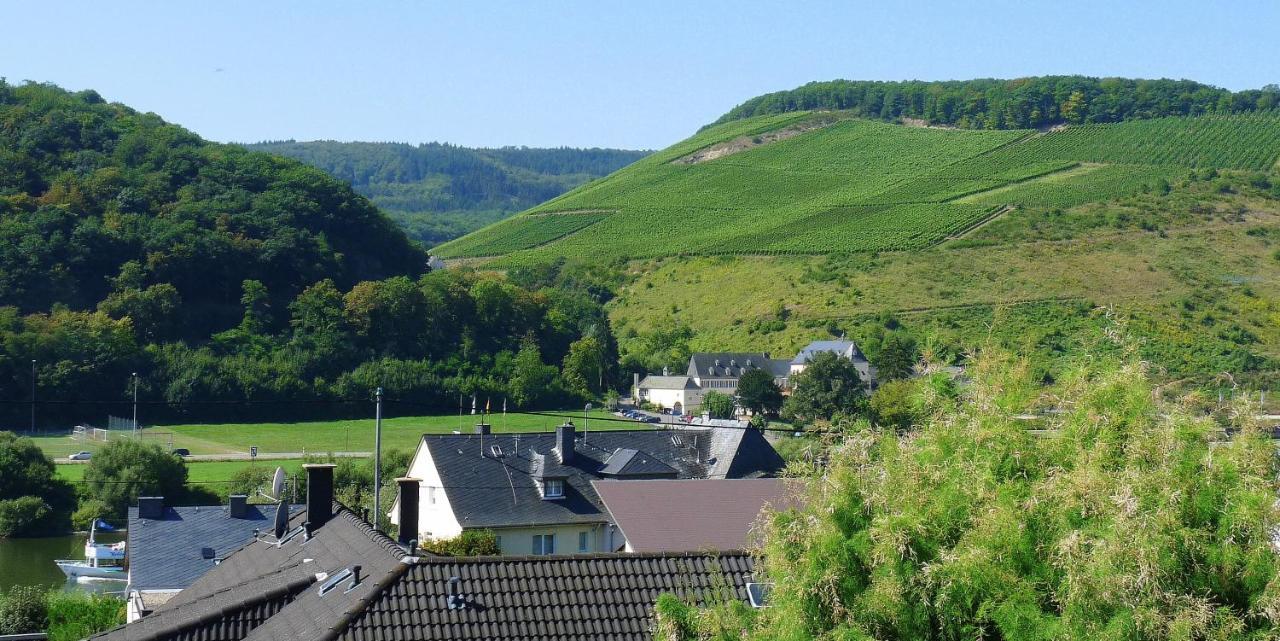 Gaestehaus Schwaab เซลทิงเงน-อาคทิก ภายนอก รูปภาพ
